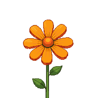 orange daisy