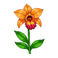 orange orchid