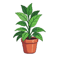 potted plant