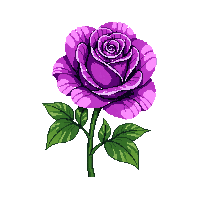 purple rose