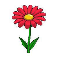 red daisy