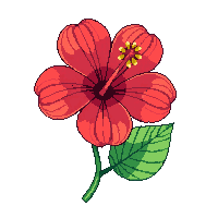 red hibiscus