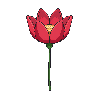 red lotus