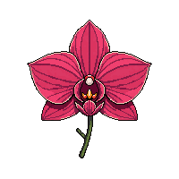 red orchid