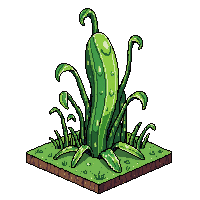 swamp carnivorous plant big