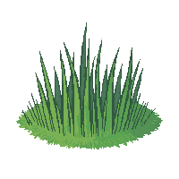 tall grass tuft