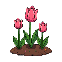 tulip patch