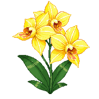 yellow orchid