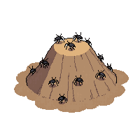 ant hill