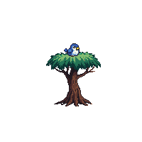 bird nest