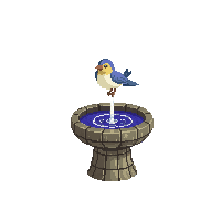 birdbath