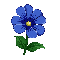 blue pansy
