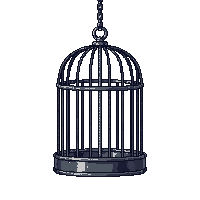 cage bird empty