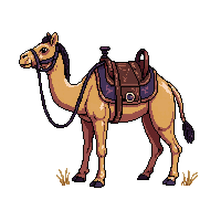 desert camel saddle