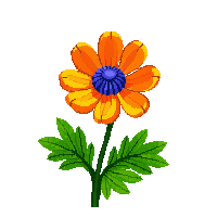 orange bluebell