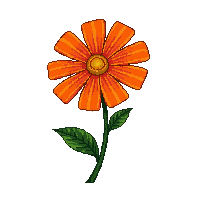 orange marigold