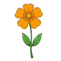 orange pansy