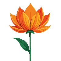 orange peony