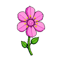 pink snapdragon
