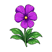 purple pansy
