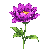 purple peony