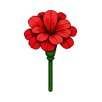 red carnation