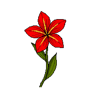 red iris