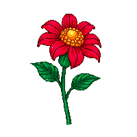 red marigold