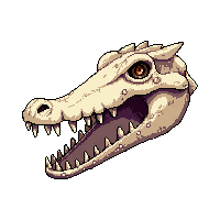 swamp gator skull