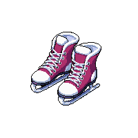 winter ice skates