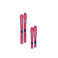 winter ski pair