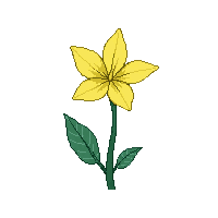 yellow bluebell