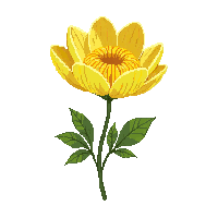 yellow peony