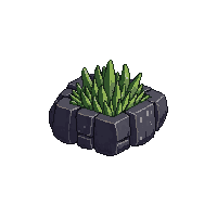 swamp small rock