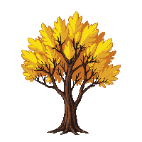 acacia tree autumn