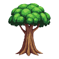 baobab tree lush