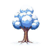 birch tree winter