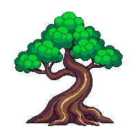 bonsai tree