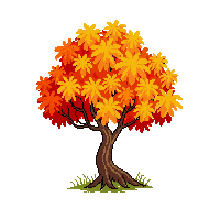 maple tree autumn