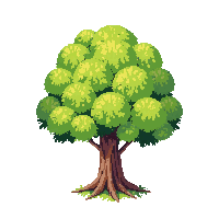 maple tree lush