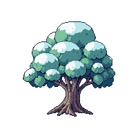 oak tree winter