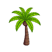 palm tree lush