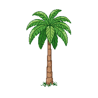 palm tree winter