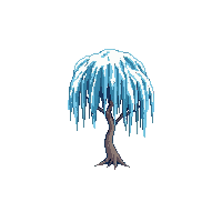 willow tree winter