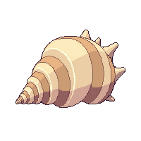 beach shell