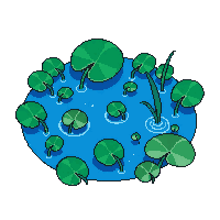 pond with lily pads