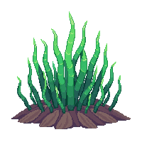 seaweed