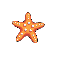 starfish