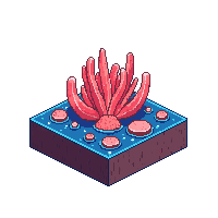underwater coral reef chunk