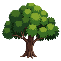 Environment